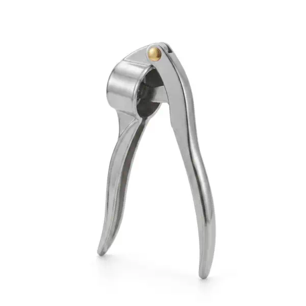 Ojas Stainless Steel Garlic Crusher